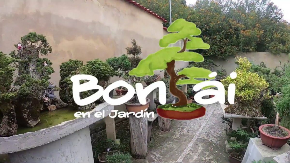 Jardin Botanico Del Quindio Tarifas 2019 encequiconcerne Jardin Botanico Tarifas