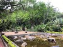 Jardín Botánico Eloy Valenzuela. #Bucaramanga # ... avec Jardin De Floridablanca