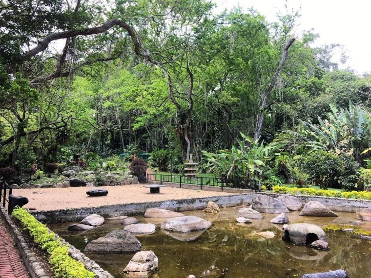 Jardín Botánico Eloy Valenzuela. #Bucaramanga # … avec Jardin De Floridablanca