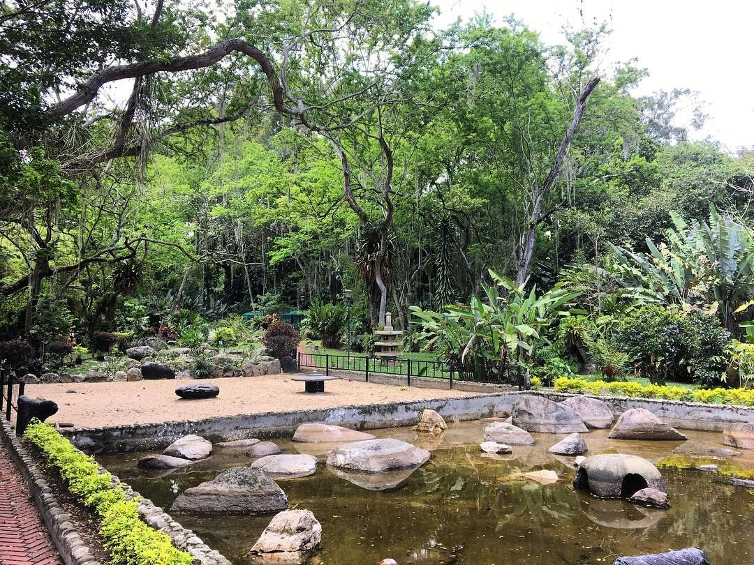 Jardín Botánico Eloy Valenzuela. #Bucaramanga # ... avec Jardin De Floridablanca