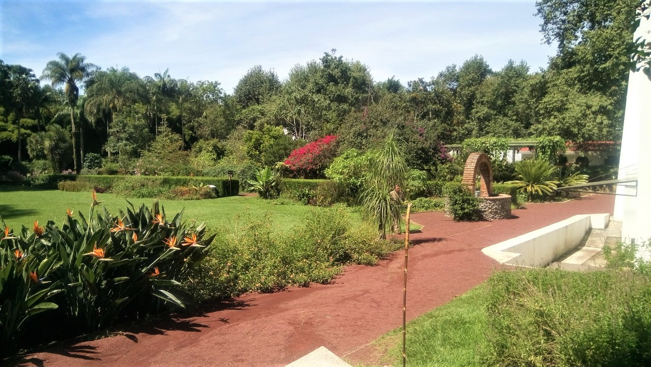Jardín Botánico Francisco Javier Clavijero | Visita Xalapa destiné Jardin Botanico Gijon Horario