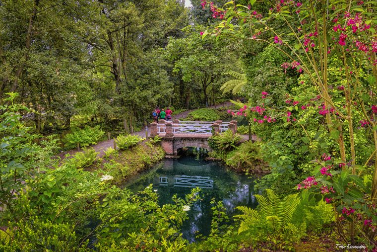 Jardin Botanico, Gijon | Toño Escandon | Flickr dedans Jardin Botanico Gijon