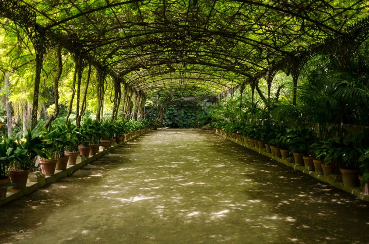 Jardín Botánico-Histórico La Concepción | Csaba Varju … tout Jardin Botanico Historico La Concepcion