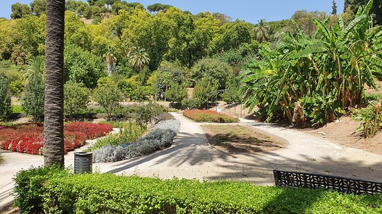 Jardin Botanico Historico La Concepcion (Malaga) – 2020 … serapportantà Jardin Botanico Concepcion