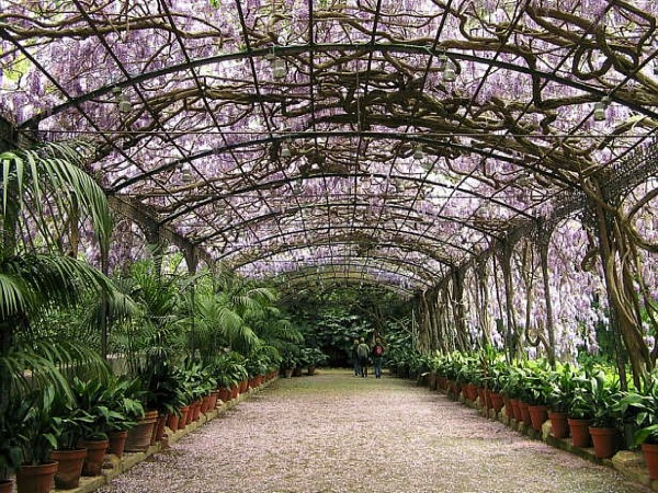Jardín Botánico-Histórico La Concepción, Málaga pour Jardin Botanico De La Concepcion Malaga