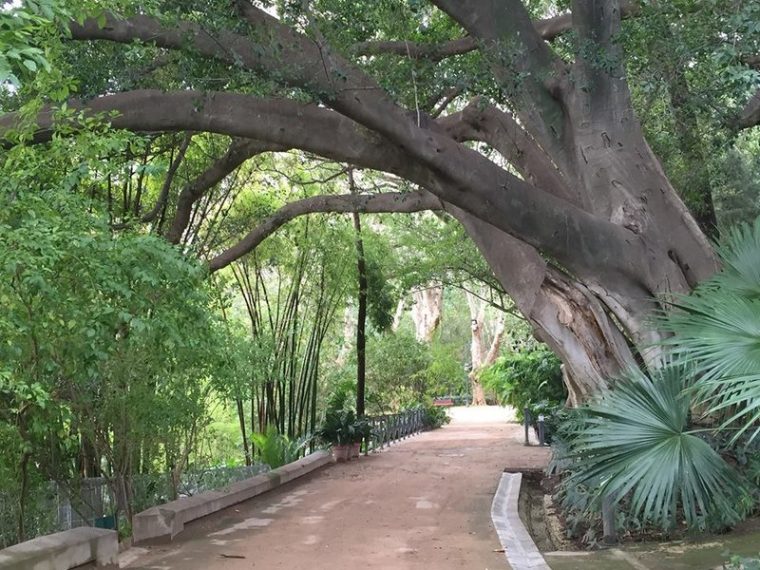 Jardín Botánico-Histórico La Concepción – Site Officiel De … avec Jardin Botanico De La Concepcion Malaga