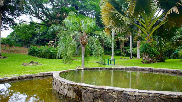 Jardin Botanico In San Juan, | Expedia concernant Hotel Jardin Botanico