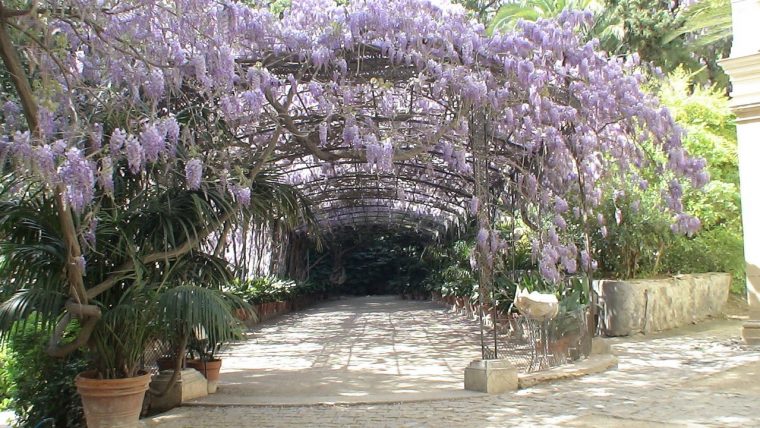 Jardin Botanico La Concepcion | Fotos De Málaga Capital concernant Jardin Botanico Concepcion