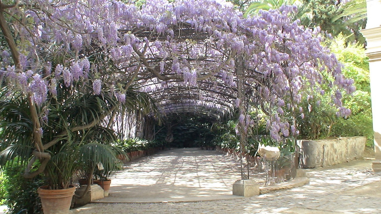 Jardin Botanico La Concepcion | Fotos De Málaga Capital tout Jardin Botanico La Concepcion