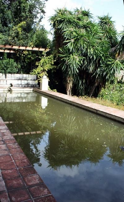 Jardín Botánico La Concepción, Málaga | Jardines, Jardin … pour Jardin Botanico La Concepcion Malaga