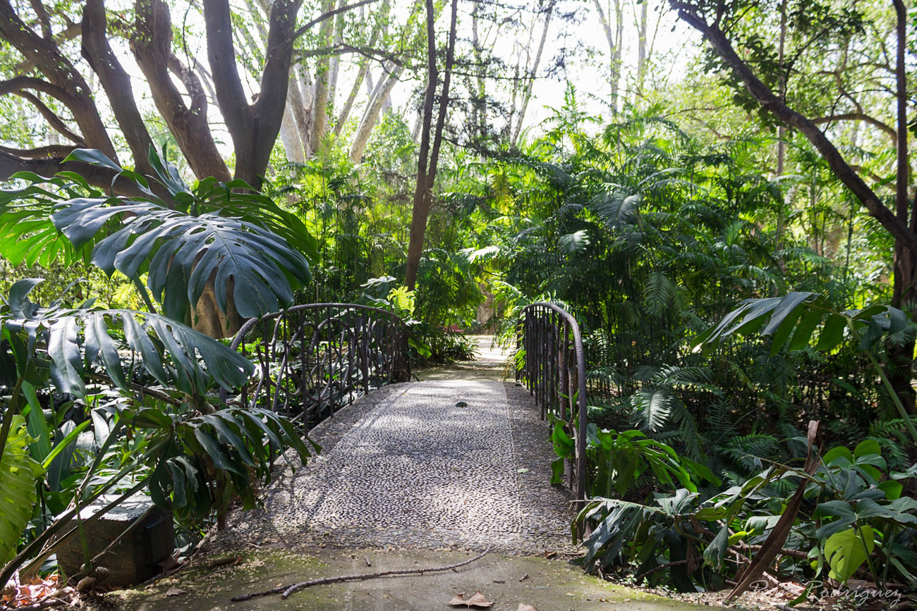 Jardín Botánico La Concepción ~ Mis Fotos De Málaga dedans Jardin Botanico Malaga