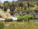 Jardín Botánico - La Guía De Barcelona pour Parques Y Jardines De Barcelona