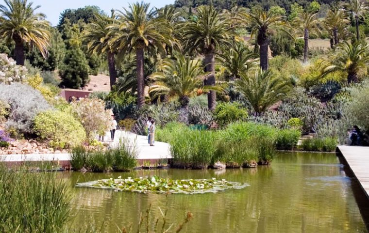 Jardín Botánico – La Guía De Barcelona pour Parques Y Jardines De Barcelona