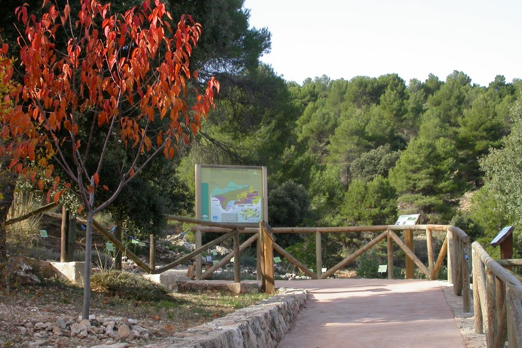 Jardin Botánico La Umbría De La Virgen - Web Oficial De ... intérieur Jardin Botanico Almeria