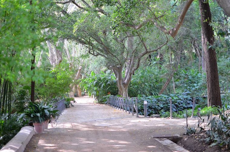 Jardin Botanico Malaga / Jardines. El Jardín Botánico … destiné Jardin Botanico Historico La Concepcion