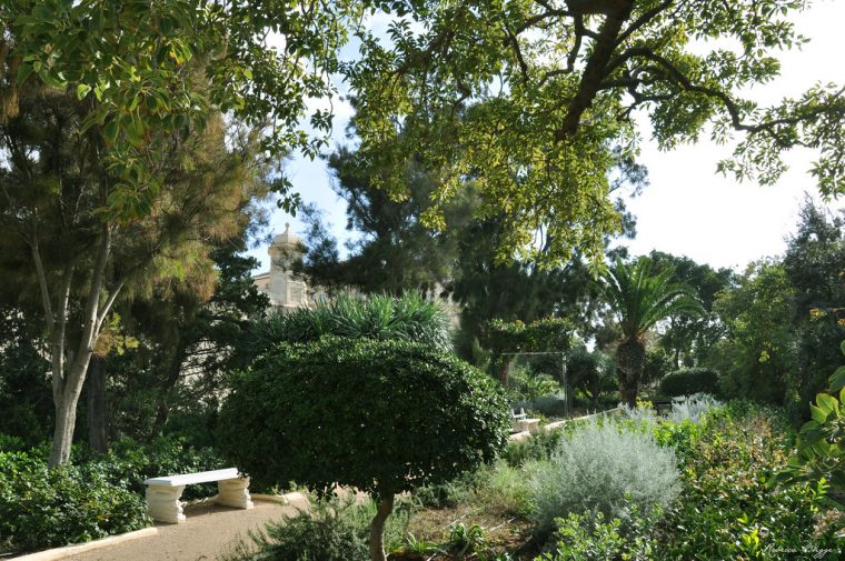 Jardin Botanico Malta concernant Jardin Botanico Soller