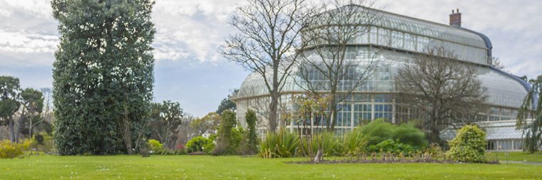 Jardín Botánico Nacional – Horario, Precio Y Ubicación En … concernant Jardin Botanico Horarios