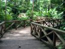 Jardín Botánico Nacional | Qué Hacer En Santo Domingo De ... destiné Jardin Botanico Santo Domingo