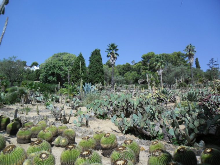 Jardín Botánico Pinya De Rosa (Botanischer Garten) Blanes … avec Jardin Botanico De Blanes