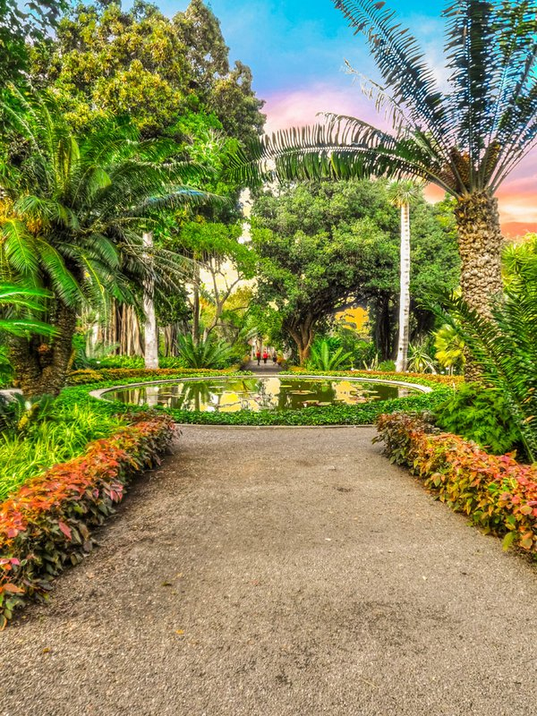 Jardin Botanico – Puerto De La Cruz Auf Teneriffa avec Plantas De Jardin Botanico