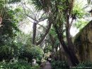 Jardín Botánico - Puerto De La Cruz - Tenerife ... serapportantà Jardín Botánico Tenerife