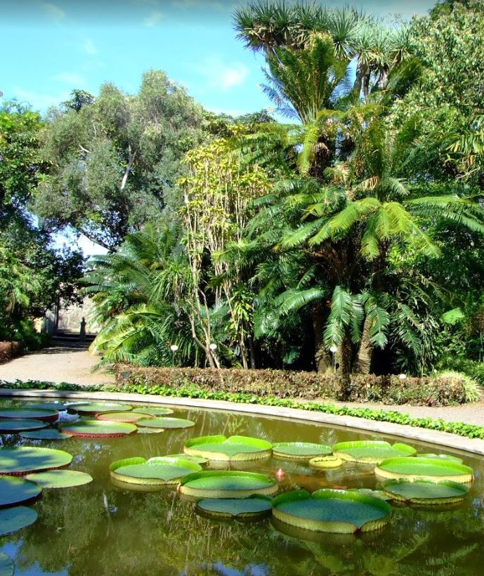 Jardín Botánico, Tenerife – Lugares De Interés De Puerto … dedans Jardin Botanico De Tenerife