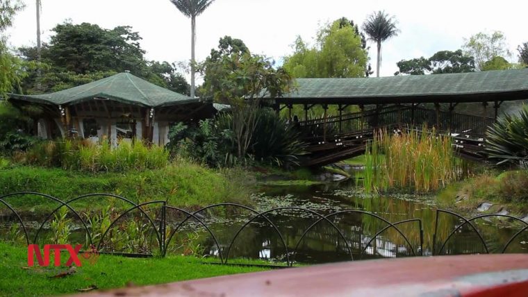Jardín Botánico: Un Pulmón En El Corazón De Bogotá – dedans Jardin Botanico Bogota