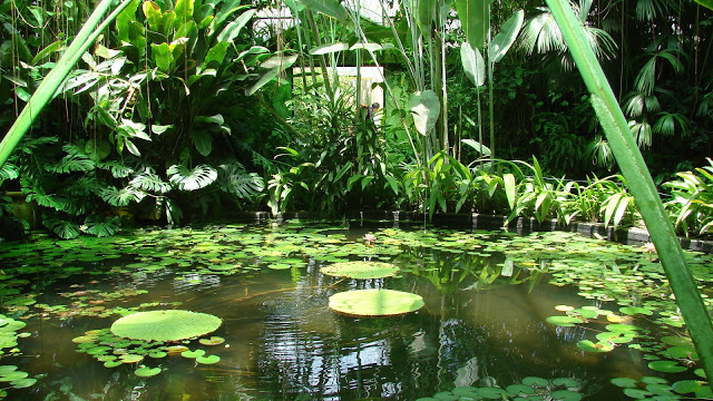 Jardin Botanico - Viajar Por Colombia encequiconcerne Jardin Botanico Cartagena
