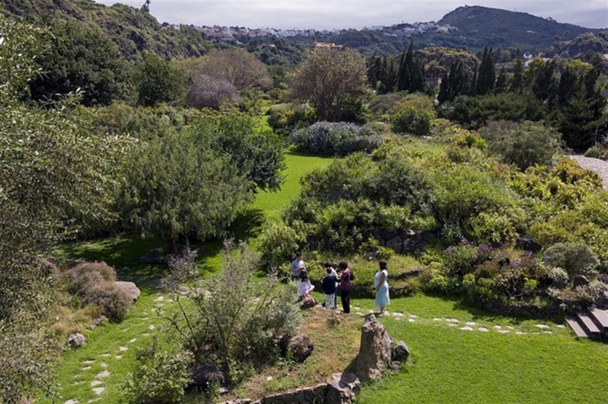 Jardín Botánico Viera Y Clavijo, Gran Canaria'S Main ... avec Jardin Botanico Gran Canaria