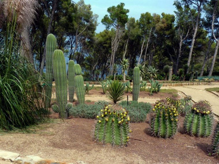 Jardin Botanique Cap Roig – Designdejardin.blogspot concernant Jardin Botanico Cap Roig