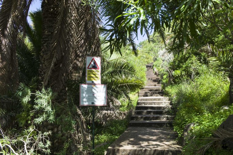 Jardín Canario Auf Gran Canaria – Einer Der Schönsten … intérieur Restaurante Jardin Canario
