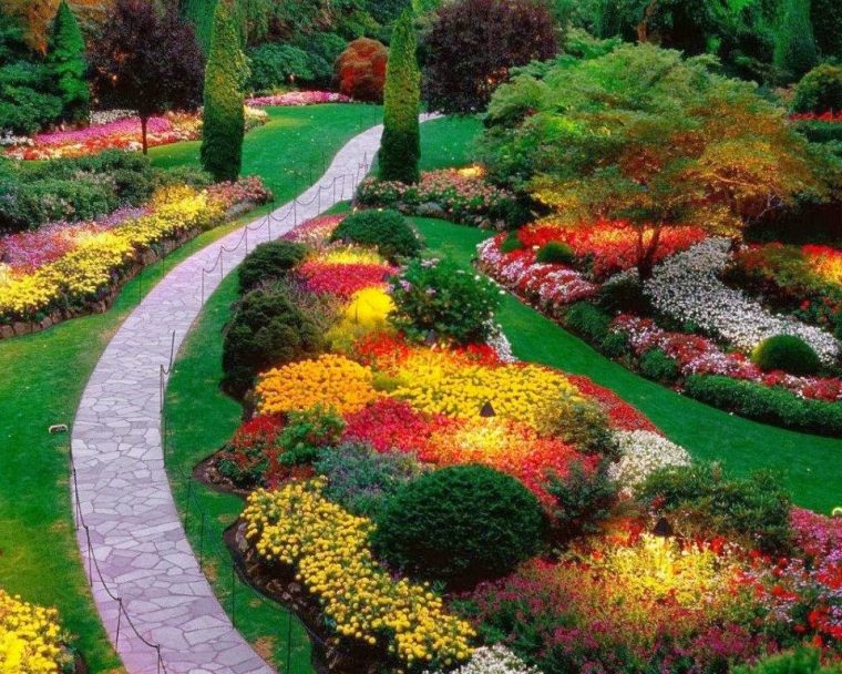 Jardin Con Flores – Patios Y Jardines avec Flores De Jardin Fotos