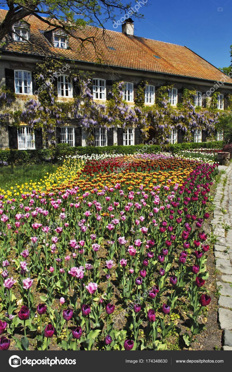 Jardín Con Flores Tulipanes Cerca Casa Baviera Alemania ... avec Jardines Con Flores