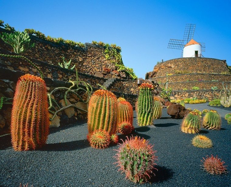 Jardín De Cactus – Cactus Garden/Lanzarote – Hrvatsko … à Jardin Cactus Lanzarote