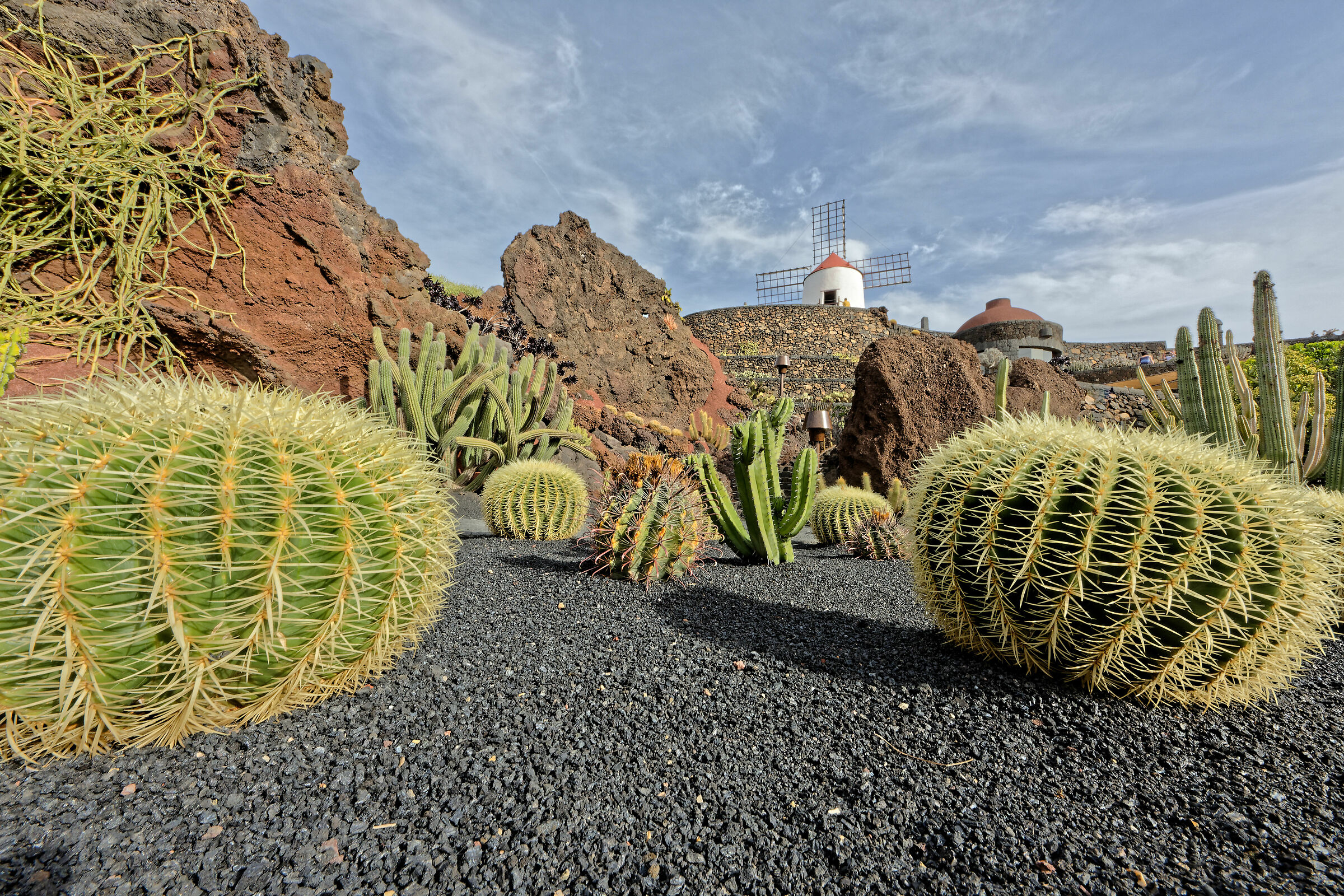 Jardin De Cactus | Juzaphoto dedans Jardin De Cactus En Casa