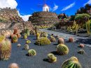 Jardín De Cactus (Lanzarote) 2021 • Horario, Precio Y ... destiné Jardines Con Cactus