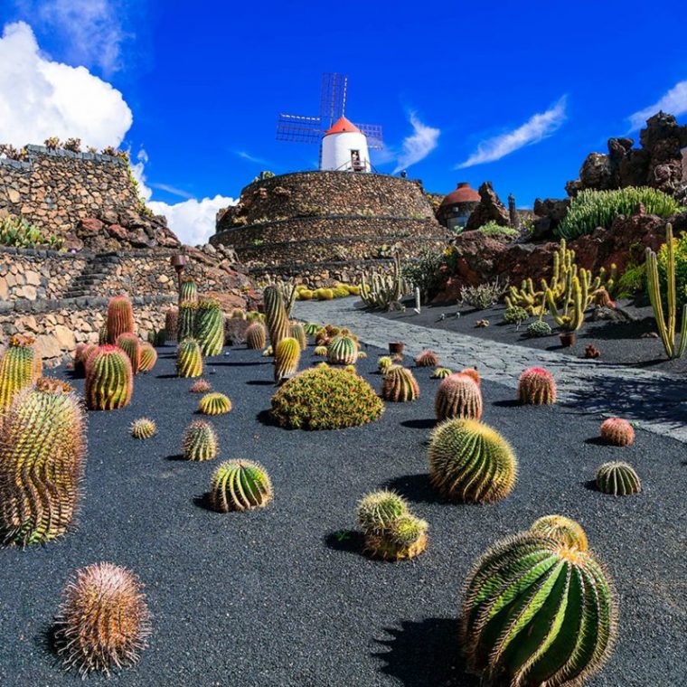 Jardín De Cactus (Lanzarote) 2021 • Horario, Precio Y … destiné Jardines Con Cactus