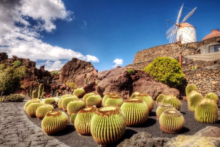 Jardin De Cactus Lanzarote | Bilder Von Wolfgang Staudt … serapportantà Jardin Cactus Lanzarote