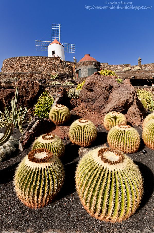 Jardin De Cactus, Lanzarote | Succulent Rock Garden … pour Jardin Cactus Lanzarote