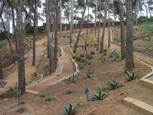 Jardín De Cap Roig (Fotos) intérieur Jardin Botanico Cap Roig