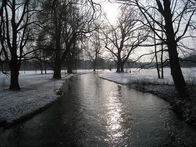 Jardín De Invierno Munich Nieve Invernal Inglés Bach … intérieur Formigal Jardin De Nieve