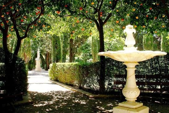 Jardín De Monforte (Curiosidades De Valencia, España … intérieur Jardines Botanicos En España