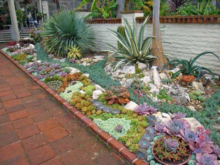 Jardín De Suculentas En Exteriores – Diseño E Ideas à Jardines De Plantas