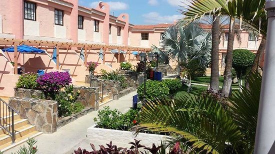 Jardin Del Sol – Picture Of Jardin Del Sol Apartments … à Jardin Del Sol Apartments Gran Canaria