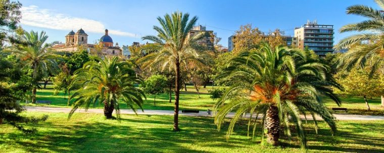 Jardín Del Turia: Een Prachtige En Rustgevende Plek Midden … intérieur Jardines Del Turia Valencia