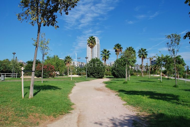 "Jardin Del Turia, Valencia" By David Fowler | Redbubble destiné Jardines Del Turia Valencia