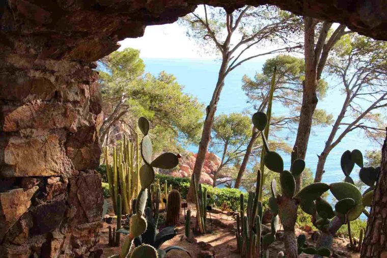 Jardin Du Cap Roig – Le Blog Des 7 Jardins avec Jardin Botanico Cap Roig