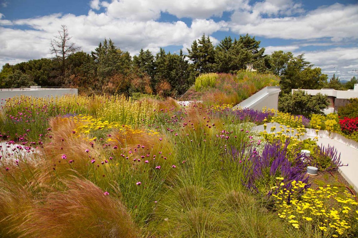 Jardín En Madrid Jardines De Estilo Mediterráneo De Planta ... concernant Plantas Para Jardin Mediterraneo