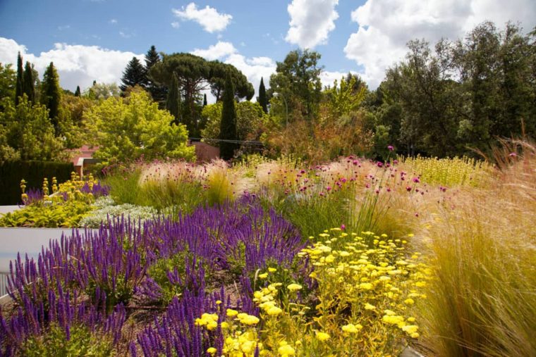 Jardín En Madrid Jardines De Estilo Mediterráneo De Planta … tout Plantas Para Jardin Mediterraneo