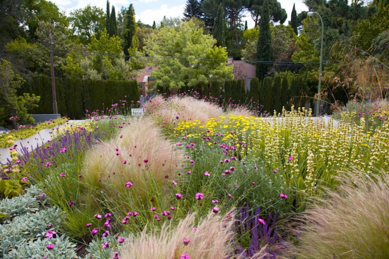 Jardín En Madrid Planta Paisajistas Jardines De Estilo … pour Plantas Para Jardin Mediterraneo